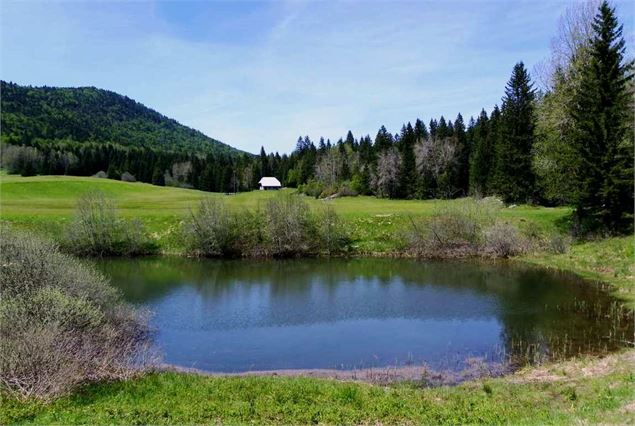 Etang du Mariet - OT Coeur des Bauges