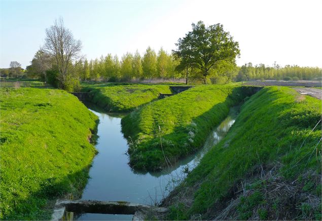 Marais des Echets - Michel AVELINE