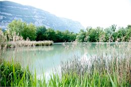 Etangs d'Etrembières - Annemasse Agglo / stephanecouchet.com