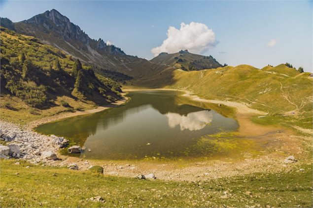 lac de Lessy - Alpcat Medias