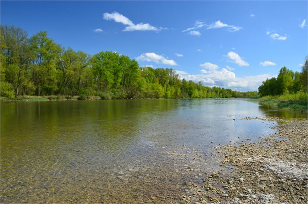 La rivière d'Ain en été - A.U.P.R.A