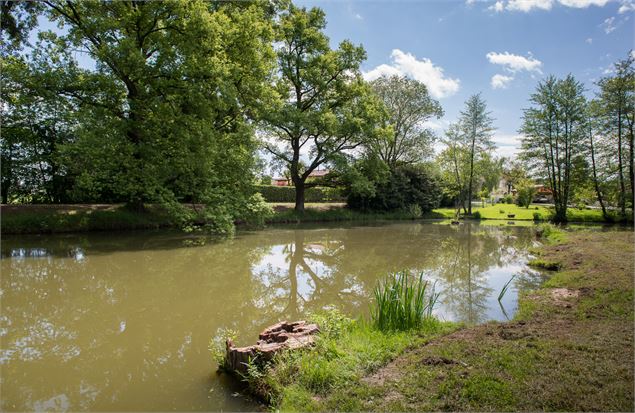 Etang Salendre - Grand Angle