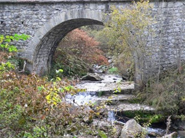 Rivière La Follaz - OTVal d'Hermone