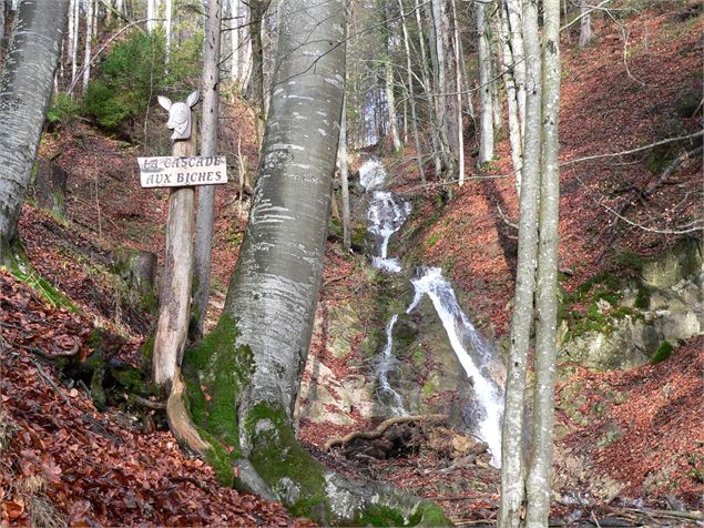 Cascade aux biches - OT Val d'Hermone