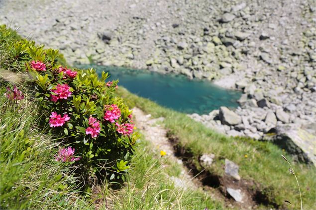 Lac Bleu - OT Vallée de Chamonix MB