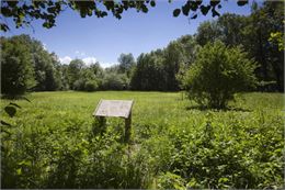 Le marais de Côte Merle et le bois des Côtes - Dominique Lafon