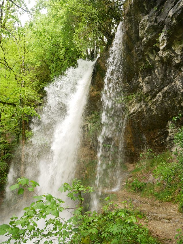 Cascade de Pisse-Vache - Morgane Saillard