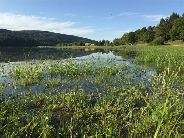 vue sur le lac - Mélanie Poirson