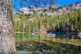 Lac vert - vue sur les fiz - OT Vallée de Chamonix - Salomé ABRIAL