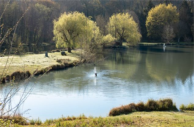 Lac Neyton - M-Art Photographie