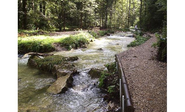 La Sarsouille - OTIOyonnax