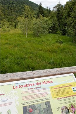 La Tourbière des Moises - OT ADL