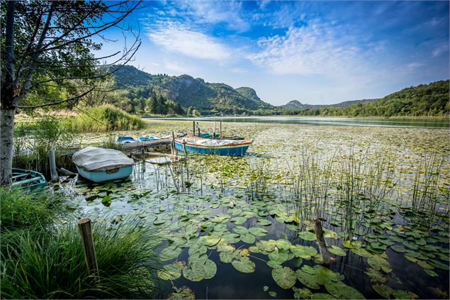 Lac de Barterand - Département de l'Ain, Sébastien Tournier