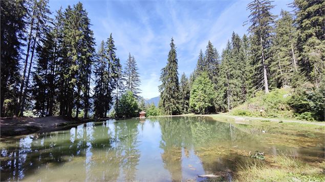Lac de pêche et de promenade - OT Flumet / St Nicolas la Chapelle