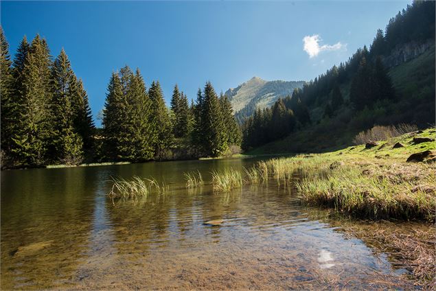 Le Lac de Damoz des Moulins et le Pic de la Corne - Yvan Tisseyre / OT Vallée d'Aulps