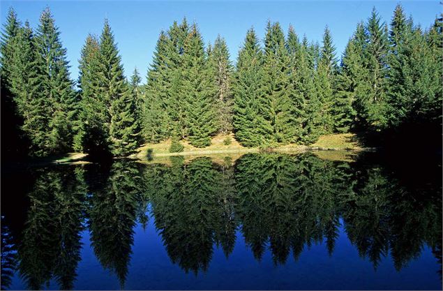 Lac du Fouyet - Yvan Tisseyre/OT Vallée d'Aulps