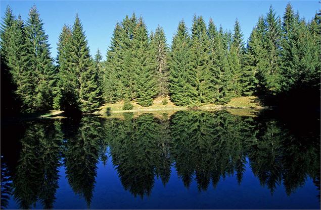 Lac du Fouyet - Yvan Tisseyre/OT Vallée d'Aulps