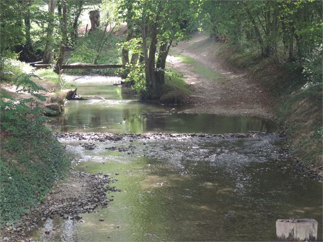 La Mâtre - MESSIMY-SUR-SAÔNE - Alain CAMPION