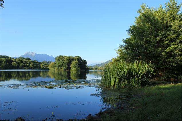 Lac Saint-Hélène - jerome.hugot@gmail.com