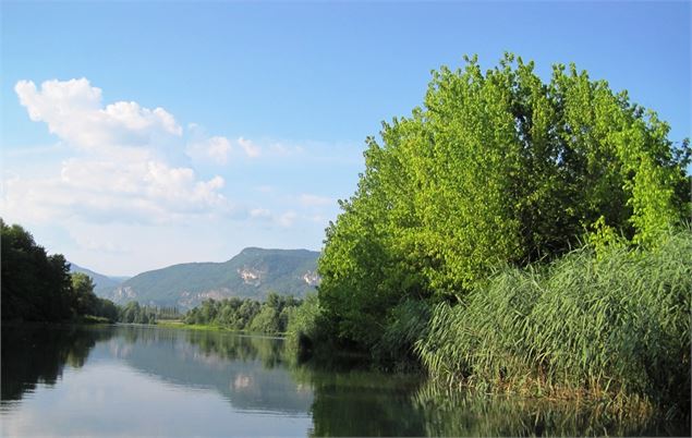 Le Rhône-Sauvage - Musée Escale Haut-Rhône