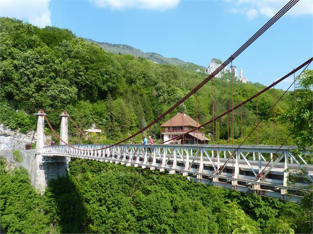 Pont de l'Abîme - OT Albanais