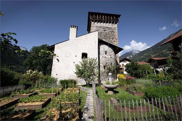 Château Montmayeur et son jardin médiéval - Ambroise Abondance