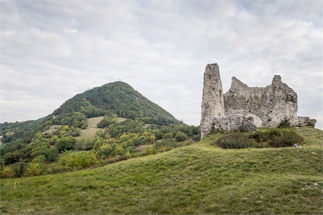 Bourg et ruines du château de Chaumont