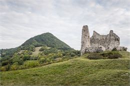 Bourg et ruines du château de Chaumont