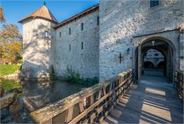 Pont levis, douves et mur d'enceinte du Château d'Avully - Antoine Berger
