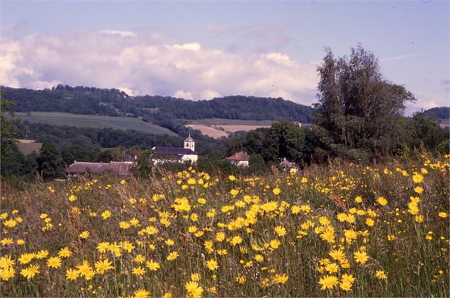 Village de Menthonnex sous Clermont