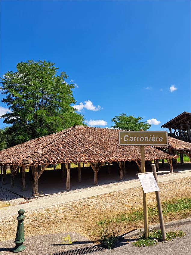 La carronnière - Saint-Trivier-de-Courtes - © MP OTBBD (143)