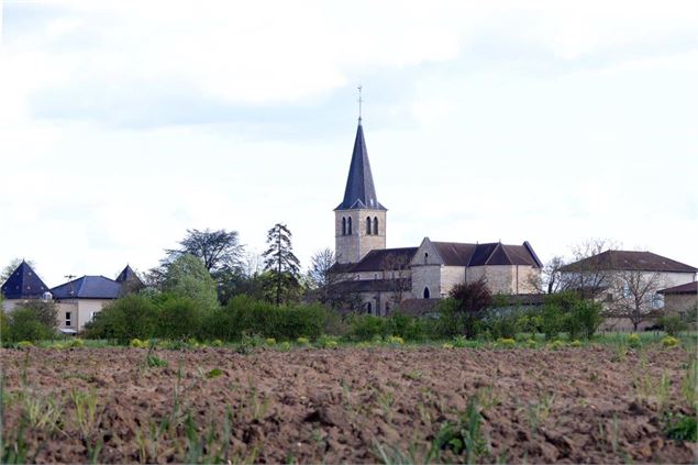 Eglise de Grièges vue des Gibaudières - Jean VITAL