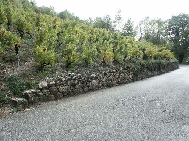 Muret de vigne sur la route de Venaise
