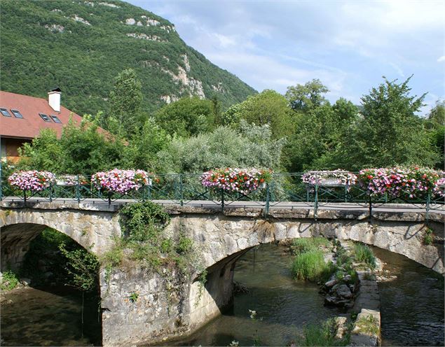 Vue du Pont de Verthier en été - Numerica photo club