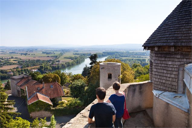 Vue depuis tour octogonale - Daniel Gillet