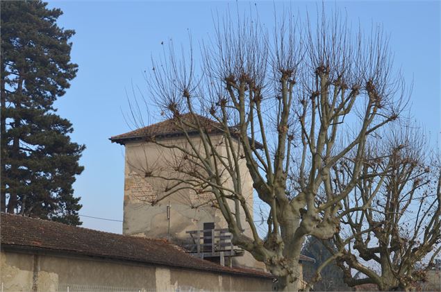 Ancienne église Saint Julien - Mairie Beynost