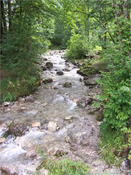 Rivière Ugine - OT Bernex