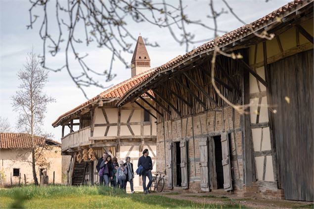 Ferme de la Forêt - Morgane Monneret
