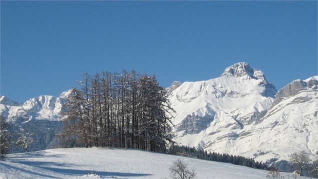 Bois des mélèzes - OT Combloux