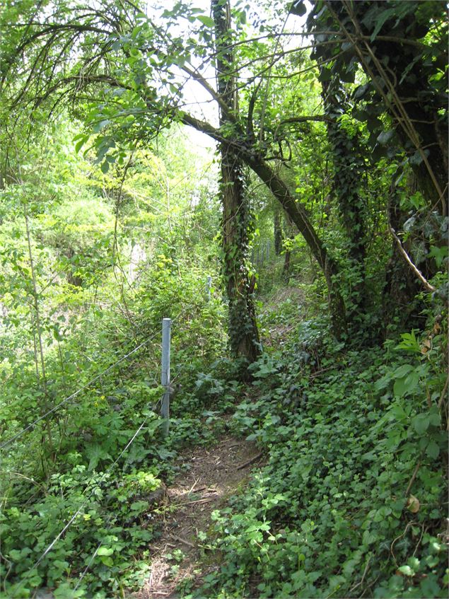 Fort de Sermenaz - Office de Tourisme de la CCMP