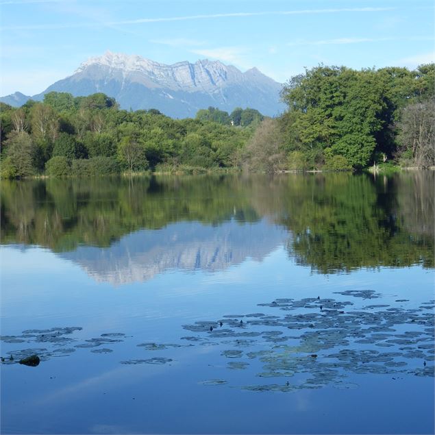 Vue sur le lac de Ste hélène - Gérard Thiévenaz ATD/CG73