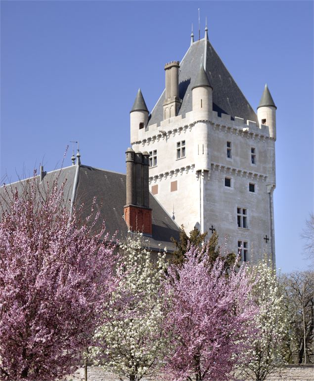 Jardin du château de Chazey-sur-Ain - Marilou Perino