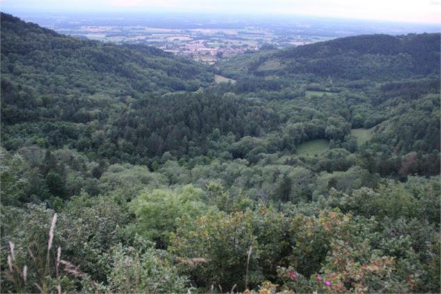 Grotte de la Cabatane