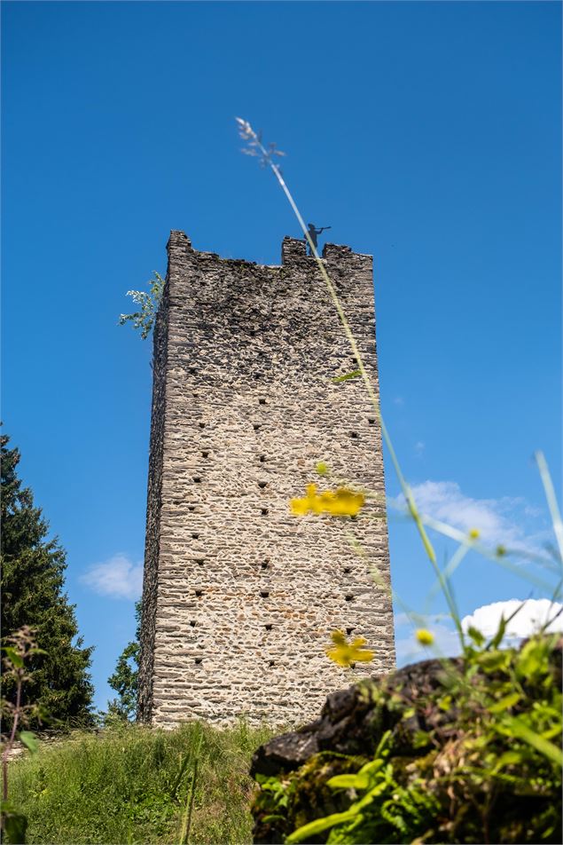 Tour de Montmayeur - OT Coeur de Savoie