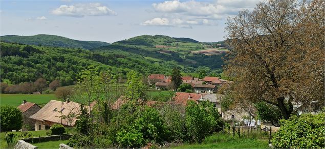 Marchamp Bugey - Ketty Tranchina