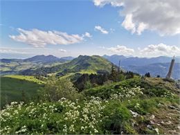 Vue depuis la pointe de Miribel - OT Alpes du Léman