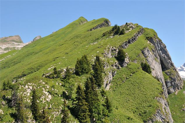 Dent de Verreu - OT Samoëns (photothèque)