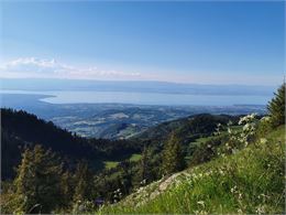 vue sur le lac Léman - OTADL