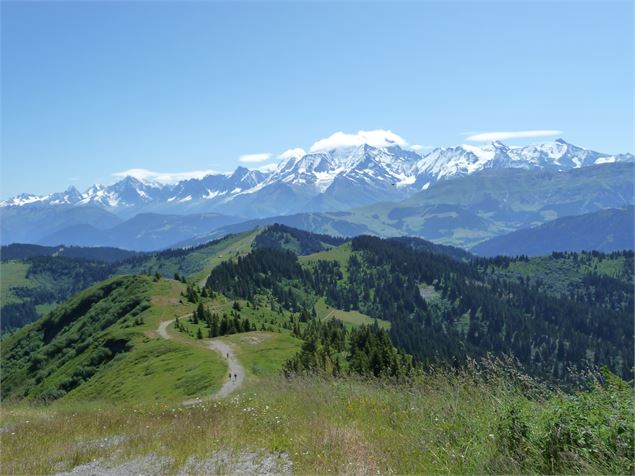 Tête du Torraz - OT Val d'Arly