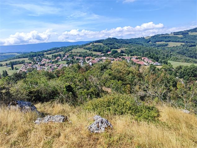 Vue sur le village de Léaz - Anne-Marie Barbe